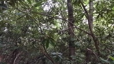 20140527_191911_Richtone(HDR)