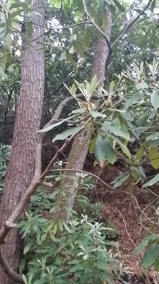 20140527_192208_Richtone(HDR)